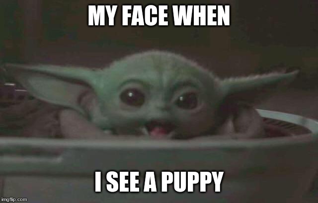 Baby Yoda Surprised | MY FACE WHEN I SEE A PUPPY | image tagged in baby yoda surprised | made w/ Imgflip meme maker