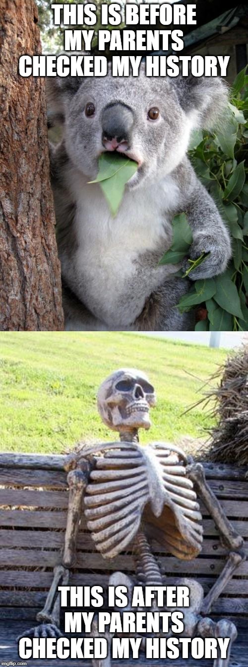 THIS IS BEFORE MY PARENTS CHECKED MY HISTORY; THIS IS AFTER MY PARENTS CHECKED MY HISTORY | image tagged in memes,surprised koala,waiting skeleton | made w/ Imgflip meme maker