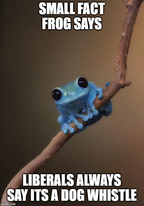 small fact frog | SMALL FACT FROG SAYS LIBERALS ALWAYS SAY ITS A DOG WHISTLE | image tagged in small fact frog | made w/ Imgflip meme maker