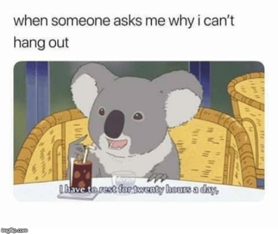 he needs to sleep | image tagged in koala,funny,funny memes | made w/ Imgflip meme maker