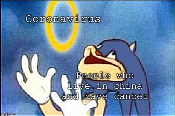 Sonic derp | Coronavirus; People who live in china and have cancer | image tagged in sonic derp | made w/ Imgflip meme maker