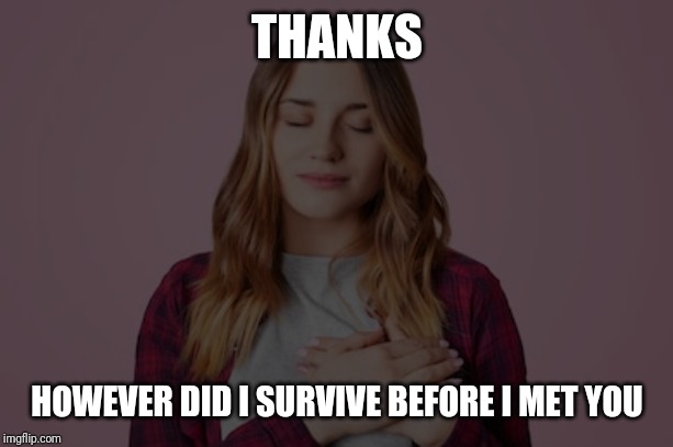 T | THANKS; HOWEVER DID I SURVIVE BEFORE I MET YOU | image tagged in t | made w/ Imgflip meme maker