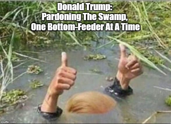 "Donald Trump: Pardoning The Swamp..." | Donald Trump: 
Pardoning The Swamp, 
One Bottom-Feeder At A Time | image tagged in trump swamp creature,bottom feeder,the swamp,drain the swamp | made w/ Imgflip meme maker