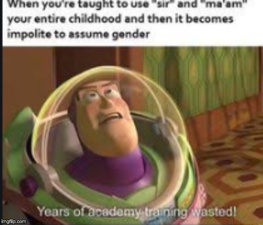 Academy Training(not my original) | image tagged in buzz lightyear,training,gender assumption | made w/ Imgflip meme maker