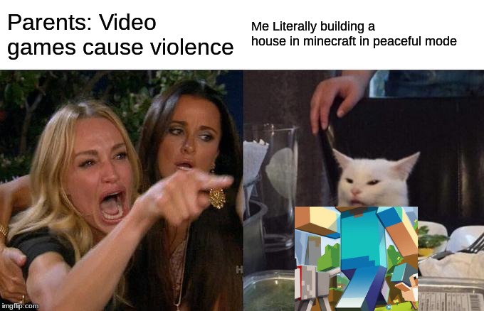 Woman Yelling At Cat | Parents: Video games cause violence; Me Literally building a house in minecraft in peaceful mode | image tagged in memes,woman yelling at cat | made w/ Imgflip meme maker