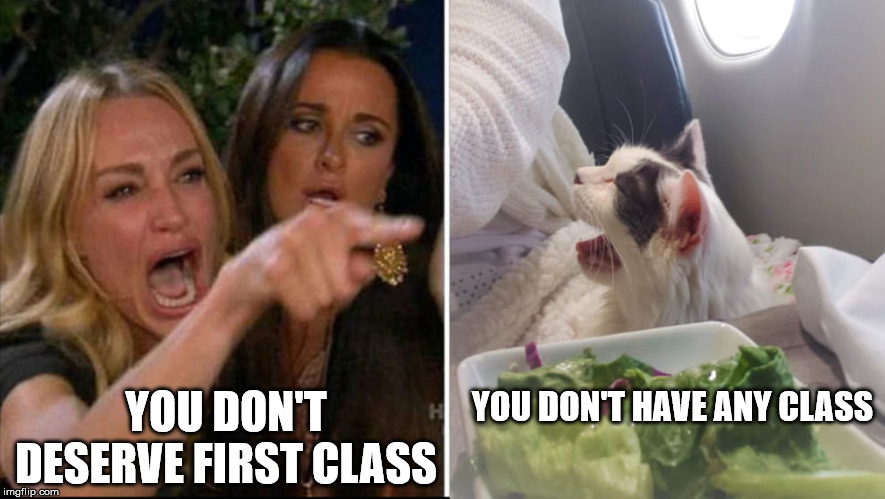 Fluffia | YOU DON'T HAVE ANY CLASS; YOU DON'T DESERVE FIRST CLASS | image tagged in fluffia | made w/ Imgflip meme maker