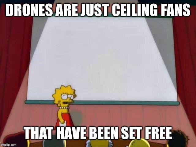 Lisa Simpson's Presentation | DRONES ARE JUST CEILING FANS; THAT HAVE BEEN SET FREE | image tagged in lisa simpson's presentation | made w/ Imgflip meme maker