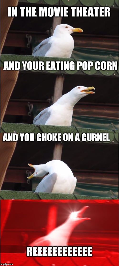 Inhaling Seagull | IN THE MOVIE THEATER; AND YOUR EATING POP CORN; AND YOU CHOKE ON A CURNEL; REEEEEEEEEEEE | image tagged in memes,inhaling seagull | made w/ Imgflip meme maker