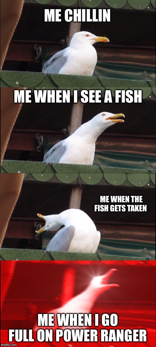 Inhaling Seagull | ME CHILLIN; ME WHEN I SEE A FISH; ME WHEN THE FISH GETS TAKEN; ME WHEN I GO FULL ON POWER RANGER | image tagged in memes,inhaling seagull | made w/ Imgflip meme maker