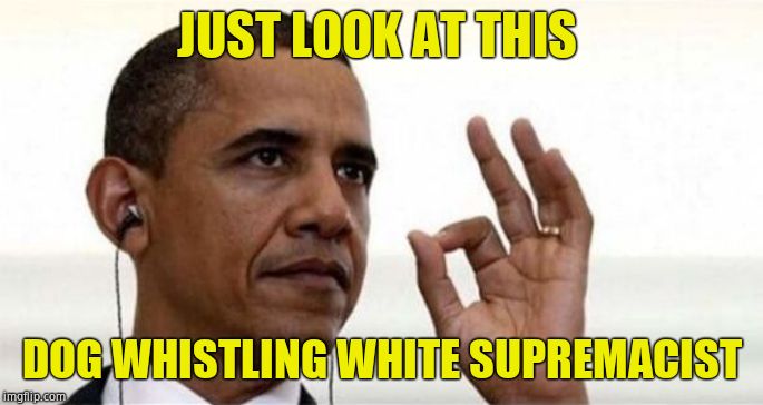 Obama Okay | JUST LOOK AT THIS DOG WHISTLING WHITE SUPREMACIST | image tagged in obama okay | made w/ Imgflip meme maker