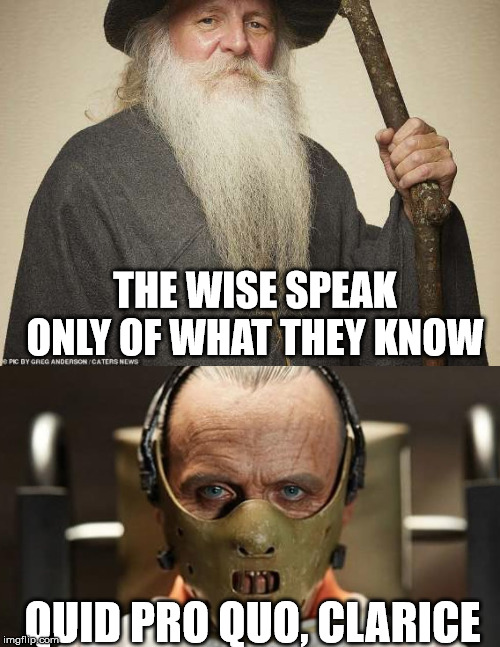 gandolecter | THE WISE SPEAK ONLY OF WHAT THEY KNOW; QUID PRO QUO, CLARICE | image tagged in tinfoil hat,information,hannibal lecter silence of the lambs,gandalf,philosophy,morals | made w/ Imgflip meme maker