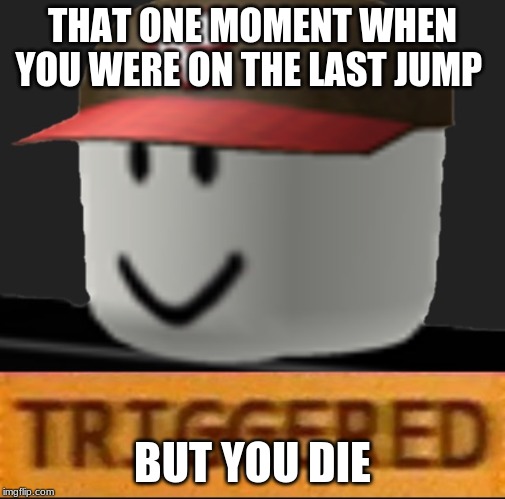 Roblox Triggered | THAT ONE MOMENT WHEN YOU WERE ON THE LAST JUMP; BUT YOU DIE | image tagged in roblox triggered | made w/ Imgflip meme maker