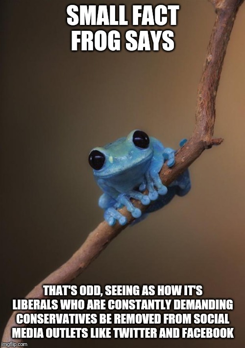small fact frog | SMALL FACT FROG SAYS THAT'S ODD, SEEING AS HOW IT'S LIBERALS WHO ARE CONSTANTLY DEMANDING CONSERVATIVES BE REMOVED FROM SOCIAL MEDIA OUTLETS | image tagged in small fact frog | made w/ Imgflip meme maker
