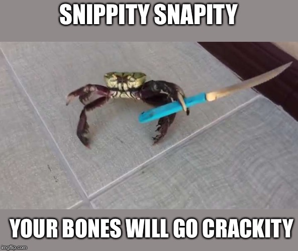 Crab knife  | SNIPPITY SNAPITY; YOUR BONES WILL GO CRACKITY | image tagged in crab knife | made w/ Imgflip meme maker
