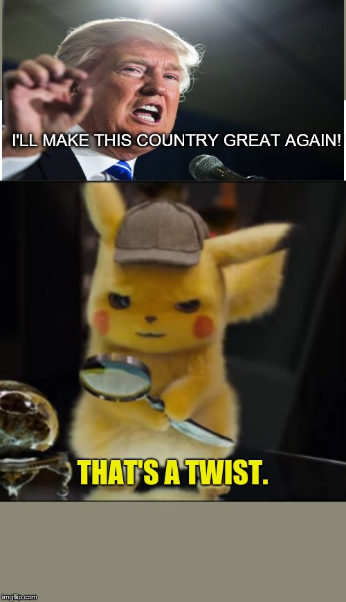 That's a Twist | I'LL MAKE THIS COUNTRY GREAT AGAIN! | image tagged in that's a twist,donald trump,i'll make this country great again | made w/ Imgflip meme maker