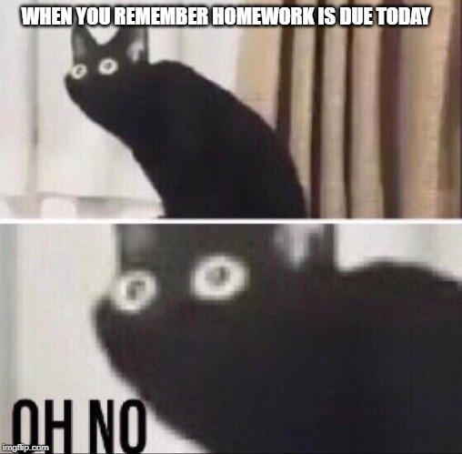 Oh no cat | WHEN YOU REMEMBER HOMEWORK IS DUE TODAY | image tagged in oh no cat | made w/ Imgflip meme maker