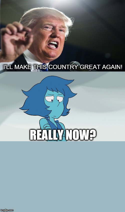 Really Now | I'LL MAKE THIS COUNTRY GREAT AGAIN! REALLY NOW? | image tagged in really now,donald trump | made w/ Imgflip meme maker