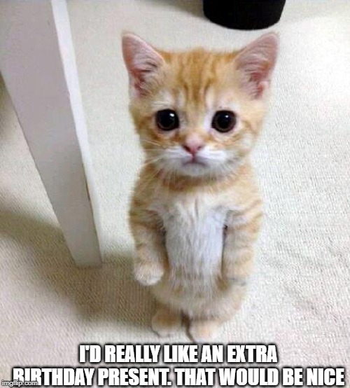 Cute Cat | I'D REALLY LIKE AN EXTRA BIRTHDAY PRESENT. THAT WOULD BE NICE | image tagged in memes,cute cat | made w/ Imgflip meme maker