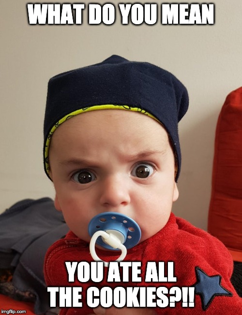Angry 3 yr old | WHAT DO YOU MEAN; YOU ATE ALL THE COOKIES?!! | image tagged in angry 3 yr old | made w/ Imgflip meme maker
