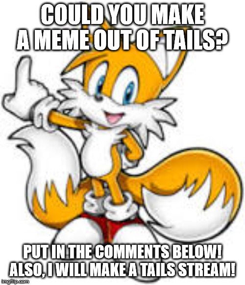COULD YOU MAKE A MEME OUT OF TAILS? PUT IN THE COMMENTS BELOW! ALSO, I WILL MAKE A TAILS STREAM! | made w/ Imgflip meme maker