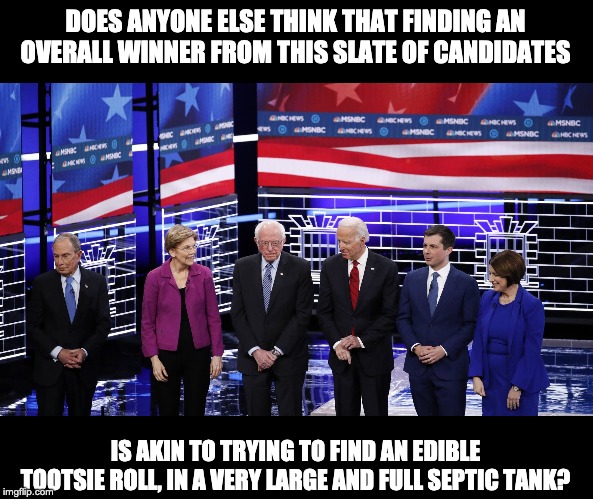 Is it me, or do they all stink on ice? | DOES ANYONE ELSE THINK THAT FINDING AN OVERALL WINNER FROM THIS SLATE OF CANDIDATES; IS AKIN TO TRYING TO FIND AN EDIBLE TOOTSIE ROLL, IN A VERY LARGE AND FULL SEPTIC TANK? | image tagged in presidential debate | made w/ Imgflip meme maker
