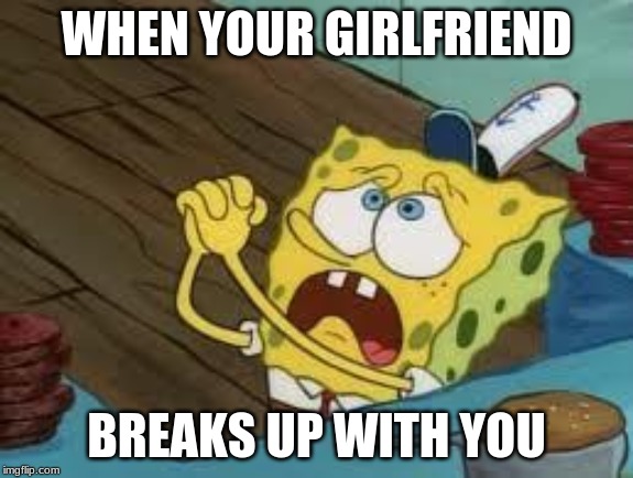 Begging BOB Fix EUW | WHEN YOUR GIRLFRIEND; BREAKS UP WITH YOU | image tagged in begging bob fix euw | made w/ Imgflip meme maker