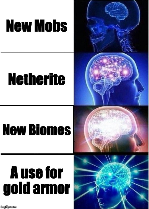 Expanding Brain | New Mobs; Netherite; New Biomes; A use for gold armor | image tagged in memes,expanding brain | made w/ Imgflip meme maker