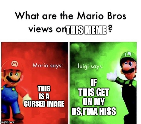 Mario Bros Views | THIS IS A CURSED IMAGE IF THIS GET ON MY DS,I'MA HISS THIS MEME | image tagged in mario bros views | made w/ Imgflip meme maker