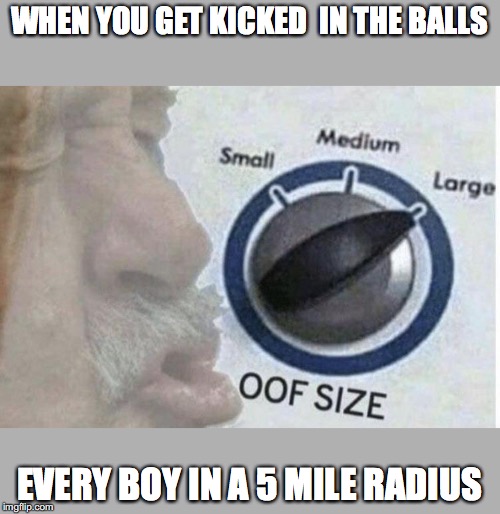 Oof size large | WHEN YOU GET KICKED  IN THE BALLS; EVERY BOY IN A 5 MILE RADIUS | image tagged in oof size large | made w/ Imgflip meme maker
