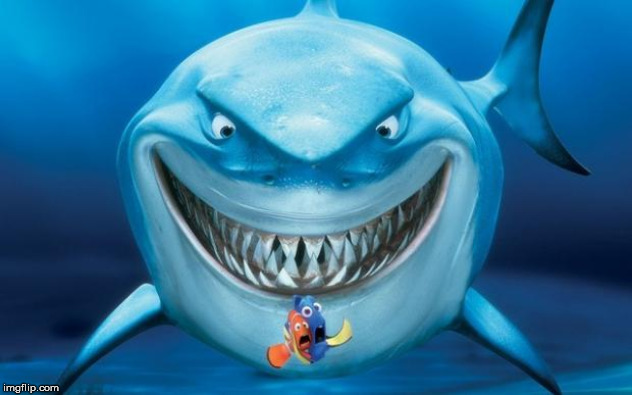 Hungry shark nemoÂ´s | image tagged in hungry shark nemos | made w/ Imgflip meme maker