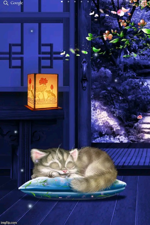 Sleeping Kitty | image tagged in sleeping kitty | made w/ Imgflip meme maker