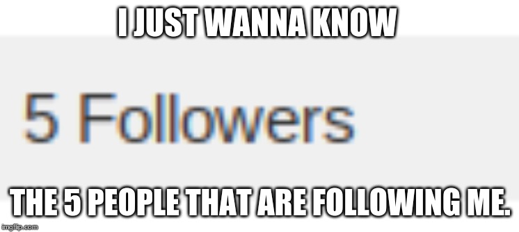 I JUST WANNA KNOW; THE 5 PEOPLE THAT ARE FOLLOWING ME. | made w/ Imgflip meme maker