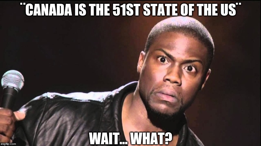 Wait What? | ¨CANADA IS THE 51ST STATE OF THE US¨; WAIT... WHAT? | image tagged in wait what | made w/ Imgflip meme maker