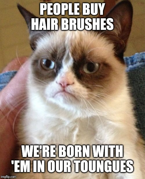 Grumpy Cat Meme | PEOPLE BUY HAIR BRUSHES; WE'RE BORN WITH 'EM IN OUR TOUNGUES | image tagged in memes,grumpy cat | made w/ Imgflip meme maker