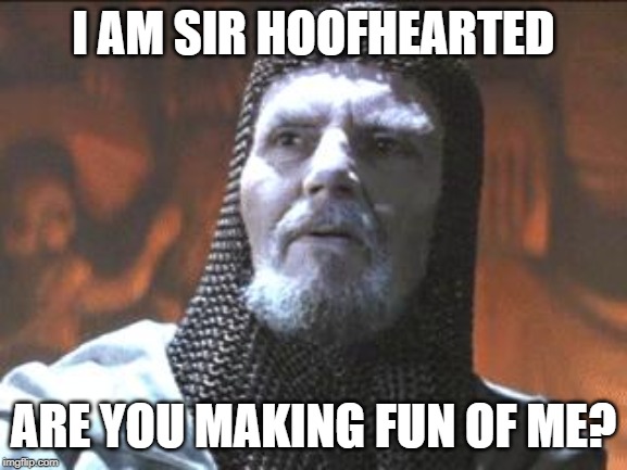 grail knight you chose poorly | I AM SIR HOOFHEARTED ARE YOU MAKING FUN OF ME? | image tagged in grail knight you chose poorly | made w/ Imgflip meme maker