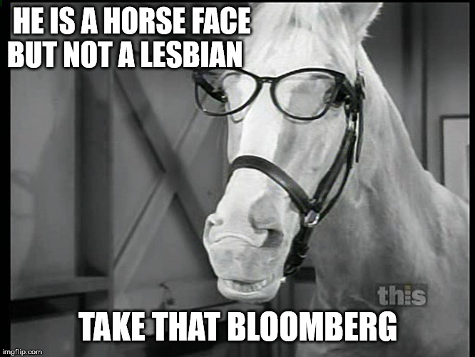 HE IS A HORSE FACE   
BUT NOT A LESBIAN; TAKE THAT BLOOMBERG | image tagged in mr ed | made w/ Imgflip meme maker