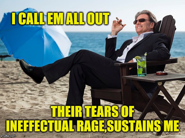 I CALL EM ALL OUT THEIR TEARS OF INEFFECTUAL RAGE,SUSTAINS ME | made w/ Imgflip meme maker