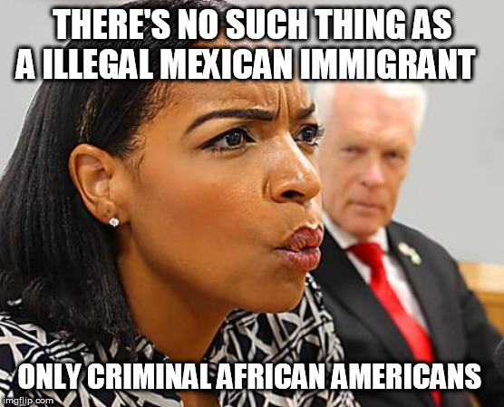ILLEGAL IMMIGRATION IS A CRIME WAKE UP! | THERE'S NO SUCH THING AS A ILLEGAL MEXICAN IMMIGRANT; ONLY CRIMINAL AFRICAN AMERICANS | image tagged in meme,funny,politics,hip hop,election 2020 | made w/ Imgflip meme maker