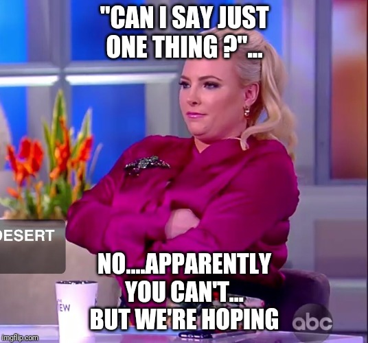 Meghan McCain | "CAN I SAY JUST
ONE THING ?"... NO....APPARENTLY
YOU CAN'T...
BUT WE'RE HOPING | image tagged in meghan mccain | made w/ Imgflip meme maker