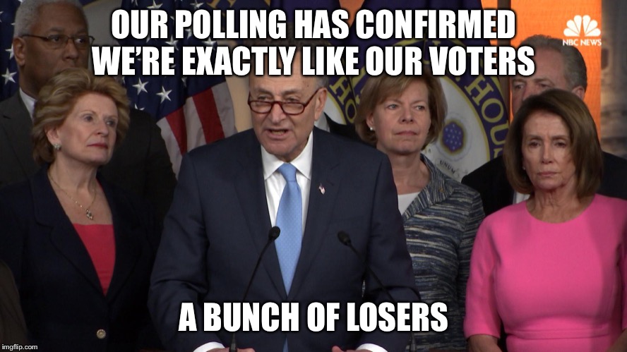 Democrat congressmen | OUR POLLING HAS CONFIRMED WE’RE EXACTLY LIKE OUR VOTERS; A BUNCH OF LOSERS | image tagged in democrat congressmen | made w/ Imgflip meme maker