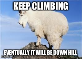 KEEP CLIMBING EVENTUALLY IT WILL BE DOWN HILL | image tagged in motivation mountain goat | made w/ Imgflip meme maker