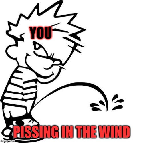 Calvin Peeing | YOU PISSING IN THE WIND | image tagged in calvin peeing | made w/ Imgflip meme maker