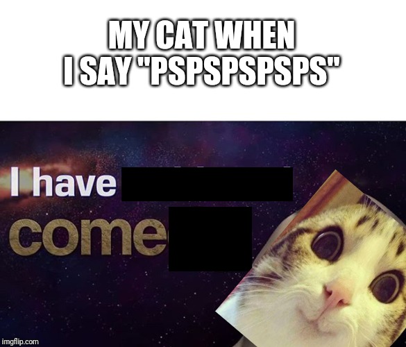 Except my cat hates me |  MY CAT WHEN I SAY "PSPSPSPSPS" | image tagged in i have achieved comedy,cats,memes,funny | made w/ Imgflip meme maker