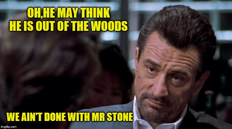 Robert Deniro Heat | OH,HE MAY THINK HE IS OUT OF THE WOODS WE AIN'T DONE WITH MR STONE | image tagged in robert deniro heat | made w/ Imgflip meme maker