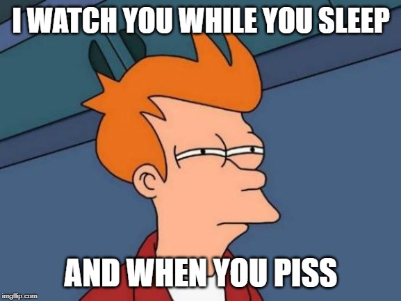 Futurama Fry | I WATCH YOU WHILE YOU SLEEP; AND WHEN YOU PISS | image tagged in memes,futurama fry | made w/ Imgflip meme maker