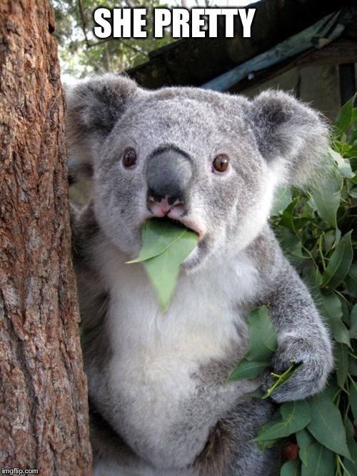 Surprised Koala Meme | SHE PRETTY | image tagged in memes,surprised koala | made w/ Imgflip meme maker