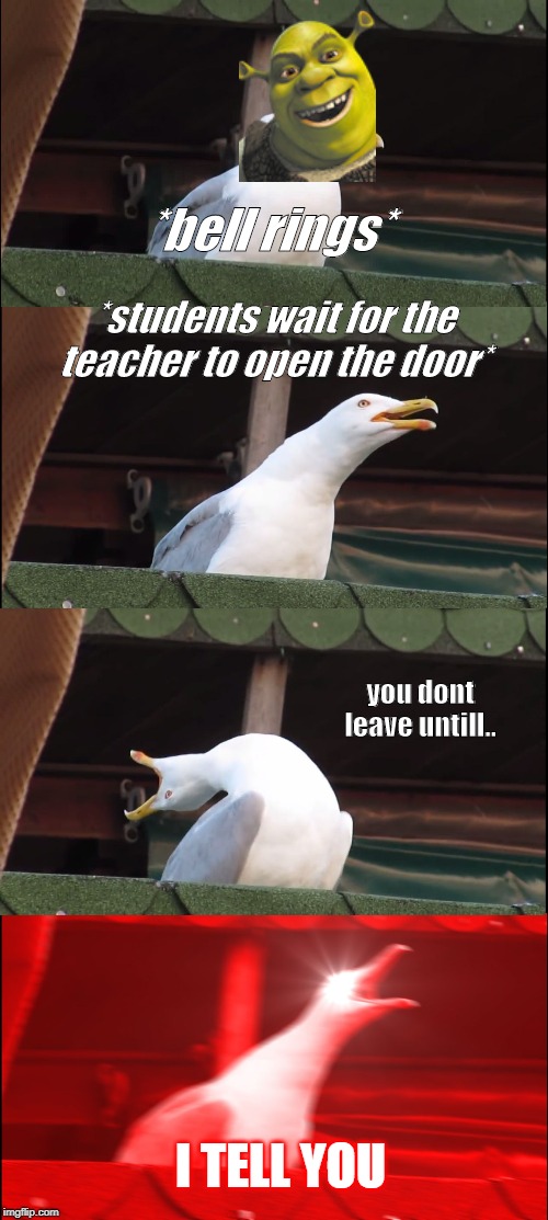 Inhaling Seagull | *bell rings*; *students wait for the teacher to open the door*; you dont leave untill.. I TELL YOU | image tagged in memes,inhaling seagull | made w/ Imgflip meme maker