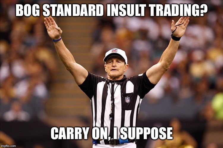 Modding is like trying to call pass interference. It’s tough and whatever call you make is guaranteed to piss someone off | BOG STANDARD INSULT TRADING? CARRY ON, I SUPPOSE | image tagged in logical fallacy referee nfl 85,imgflip mods,mods,first world imgflip problems,the daily struggle imgflip edition,imgflip trolls | made w/ Imgflip meme maker