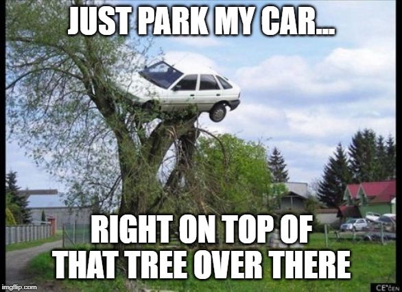 Secure Parking | JUST PARK MY CAR... RIGHT ON TOP OF THAT TREE OVER THERE | image tagged in memes,secure parking | made w/ Imgflip meme maker