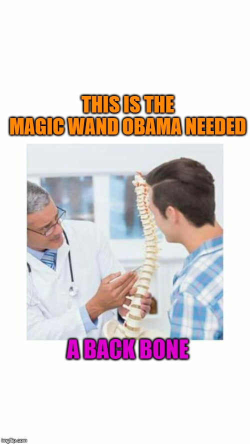 Doctor With Backbone | THIS IS THE MAGIC WAND OBAMA NEEDED A BACK BONE | image tagged in doctor with backbone | made w/ Imgflip meme maker